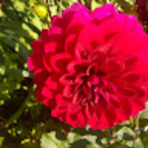 Meet your Posher, Vanesa